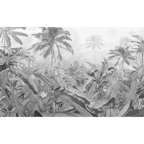 Komar Fotobehang Amazonia Black & White 400x250cm