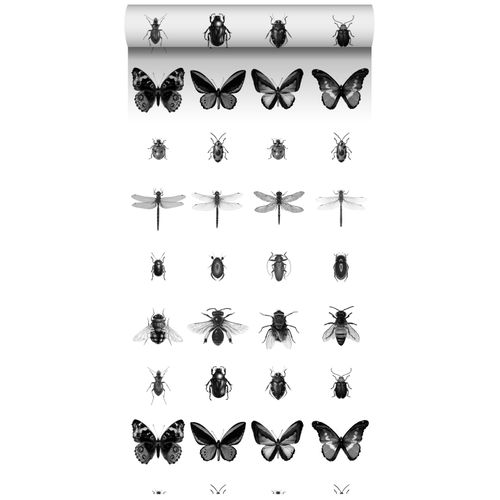 Estahome Xxl Behang Pentekening Insecten Zwart Wit - 50 X 900 Cm - 158827