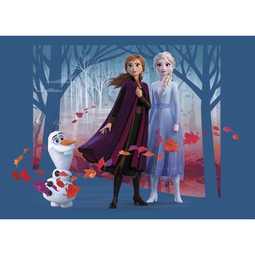 Disney Poster Frozen Anna & Elsa Blauw, Paars En Oranje - 160 X 110 Cm - 600667